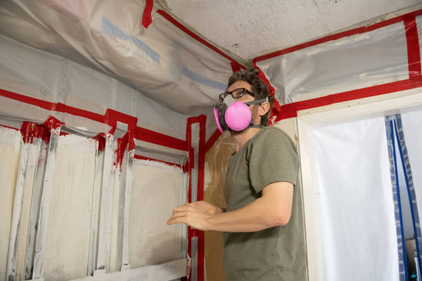 Best Post-Construction Mold Inspection  in Harwich Port, MA
