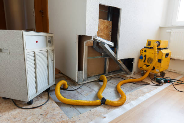 Mold Documentation for Insurance Claims in Harwich Port, MA